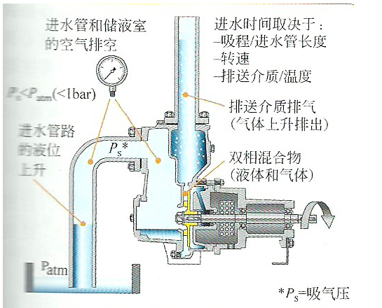 自吸泵工作原理圖之動態(tài)氣液分離路徑圖